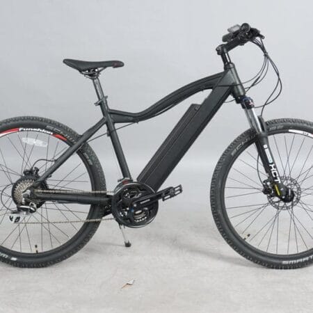 DWMEIGI DW7610 36V/10Ah 350W Electric Mountain Bike