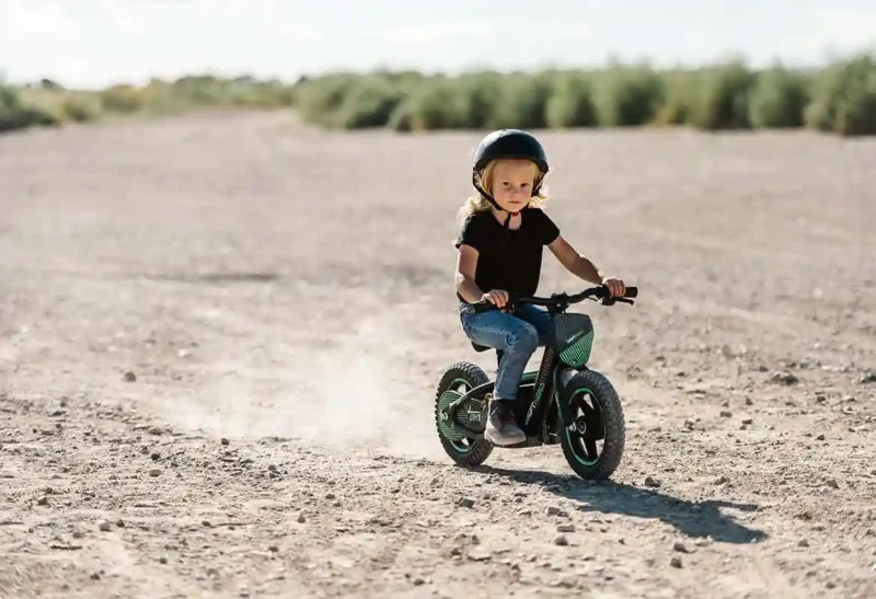 Drift Hero 36V/9Ah 800W Electric Dirt Bike