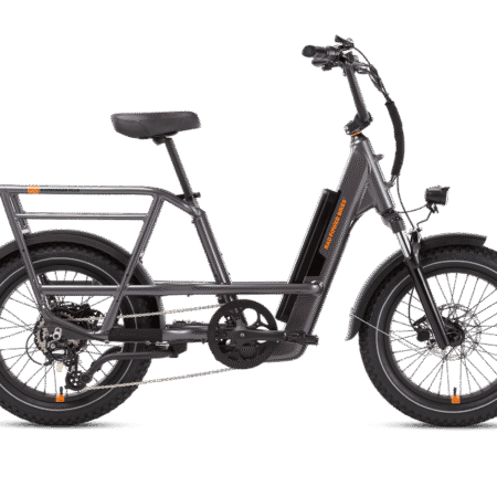 RadRunner™ 3 Plus Electric Utility Bike