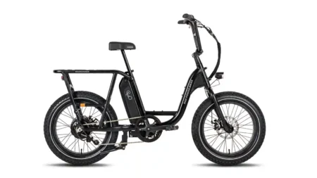 radrunner 2 electric utility bike