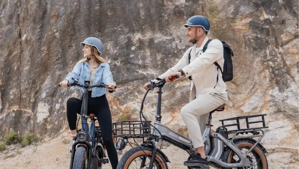 750 Watt Electric Bike