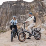 750 Watt Electric Bike