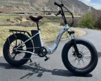 folding bike