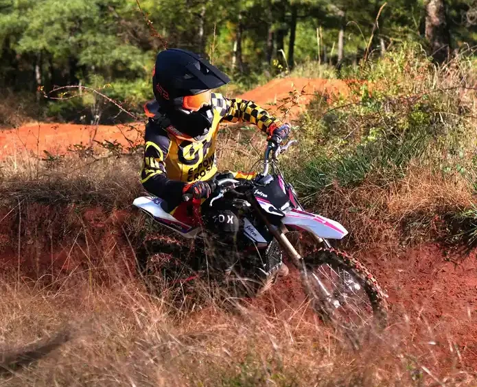 surron hyper bee top speed