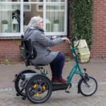 ebike for disabled