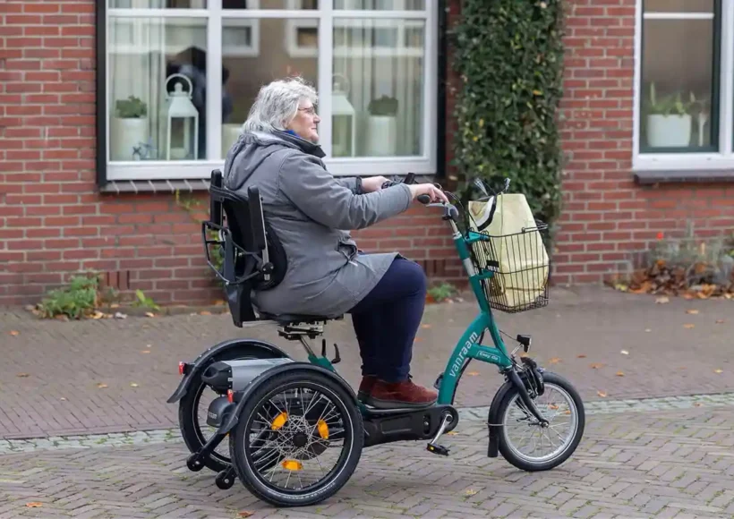 ebike for disabled
