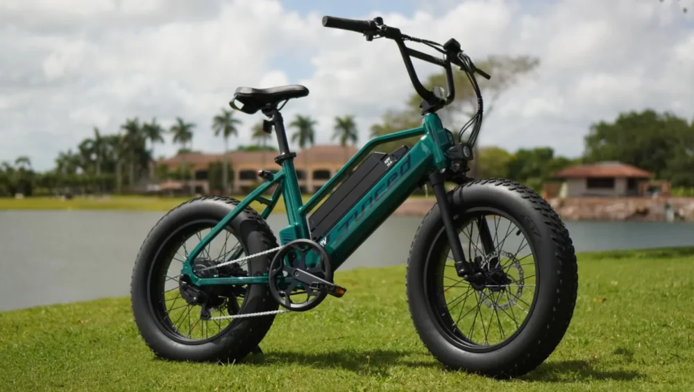 pros and cons of fat tire electric bikes