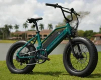 pros and cons of fat tire electric bikes