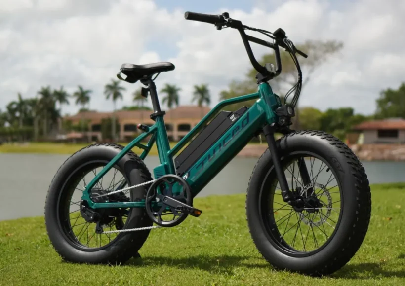 pros and cons of fat tire electric bikes