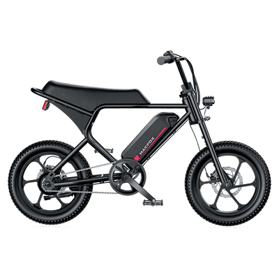 MACFOX M19 Electric e-Moto Style eBike-Step Over 250 w Electric Mini Fat Tire eBike