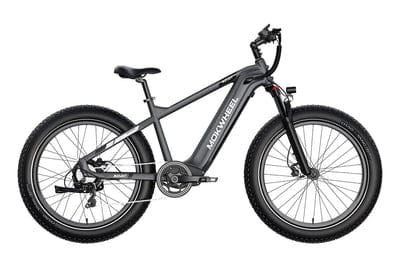 MOKWHEEL Basalt 750 w Step Over Ebike 26x4 Fat Tire Fat Tire Electric Beach Cruiser eBike